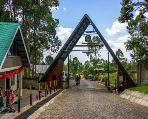 Marangu Cultural Tour & Kilimanjaro Gate Visit